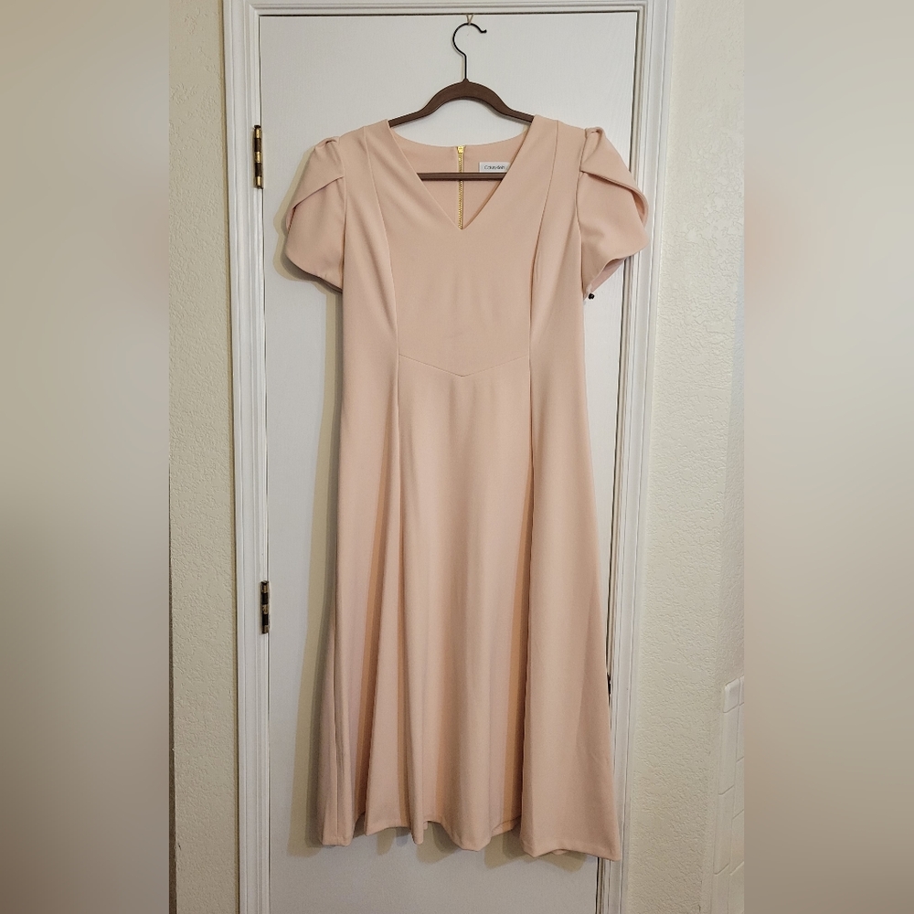 Blush Calvin Klein Dress 12